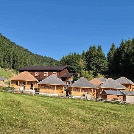 Andolia Villa Moeciu De Sus Exterior photo